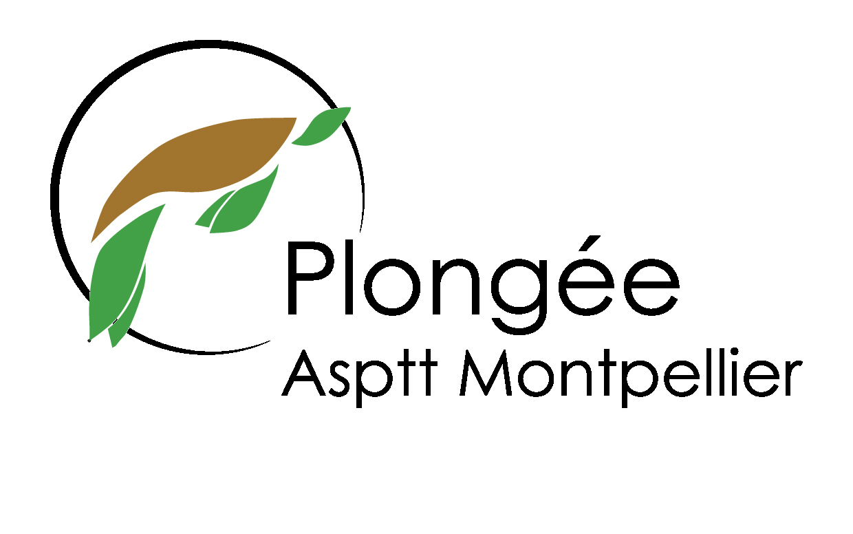 Logo Club de Plongee